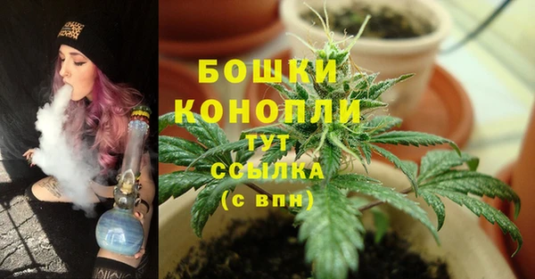 хмурый Белоозёрский
