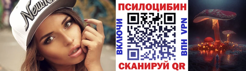 Псилоцибиновые грибы Psilocybine cubensis Ярцево